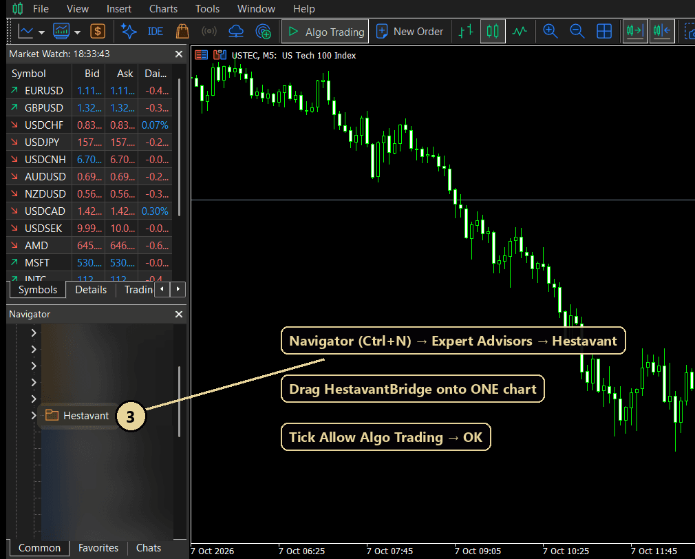 MetaTrader 5 Navigator with the Hestavant folder highlighted